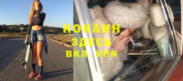 гидра Алексеевка
